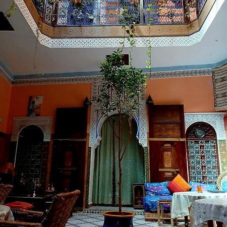 Riad Idrissi مكناز المظهر الخارجي الصورة