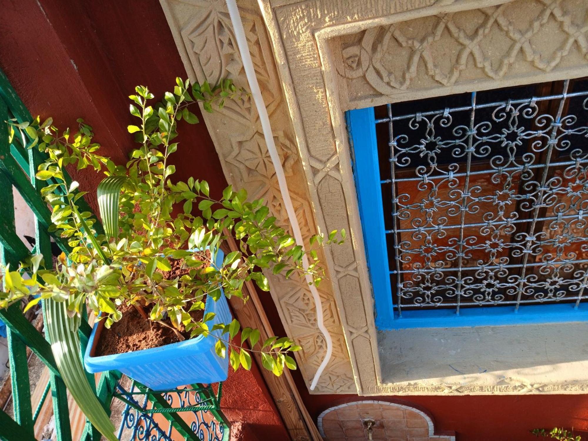 Riad Idrissi مكناز المظهر الخارجي الصورة